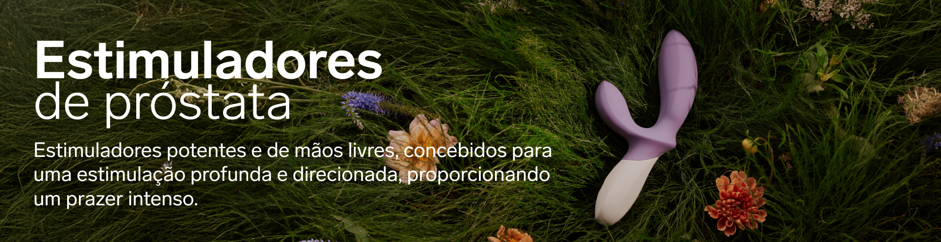 Lelo Estimuladores da Pr&oacute;stata